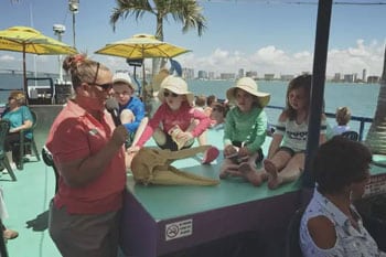 LeBarge Tropical Dolphin Cruises