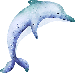 4-dolphin dolphin illustration