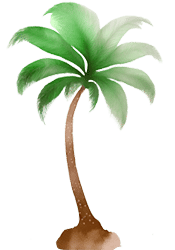 LeBargePalmtree Palm tree