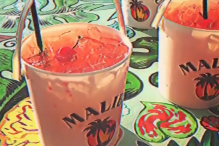 a close up of a coffee cup