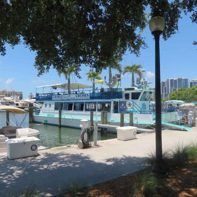 a group of palm trees with a building in the background
