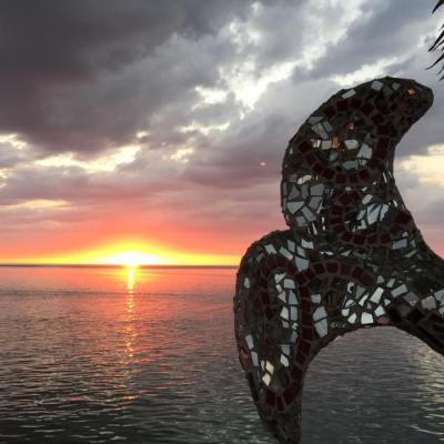 a person sitting next to a body of water