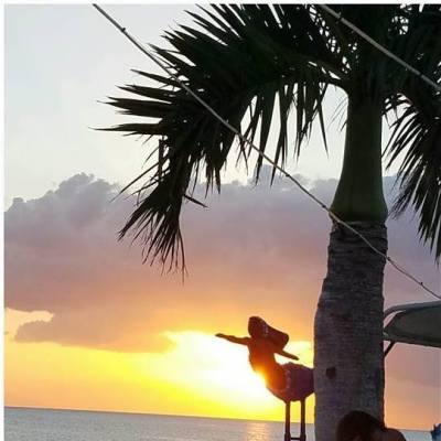 a group of people on a beach with a palm tree