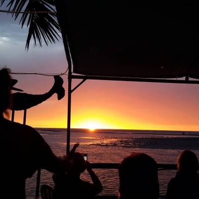 a sunset over a body of water next to a palm tree