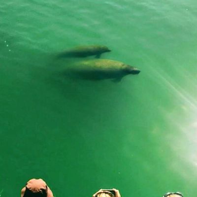 a man swimming in the water